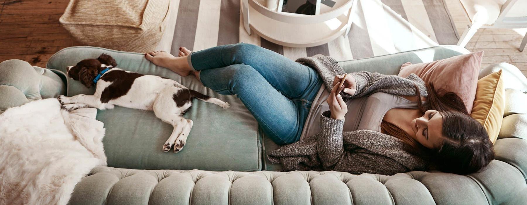 overhead view of  a woman texting as she lies on a couch with a dog at her feet